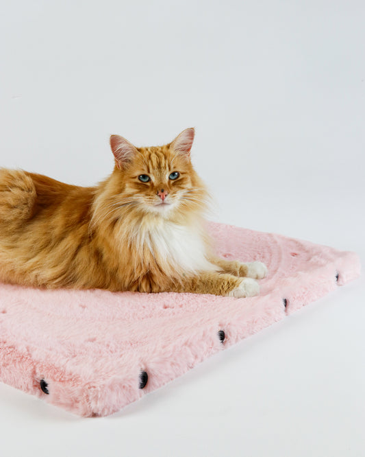 CAT TOWER FOUNDATION