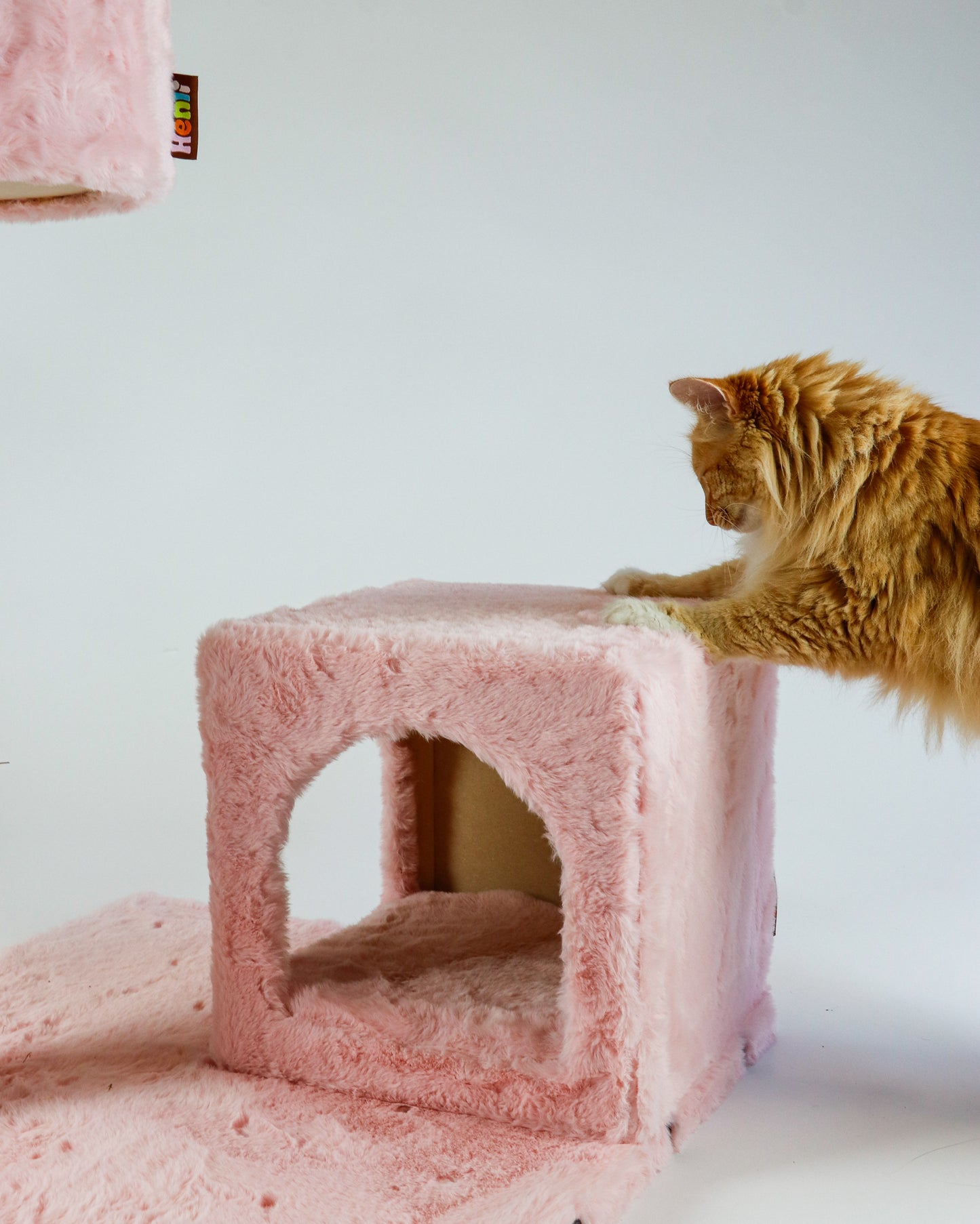 STARTER KIT - BUBBLE GUM