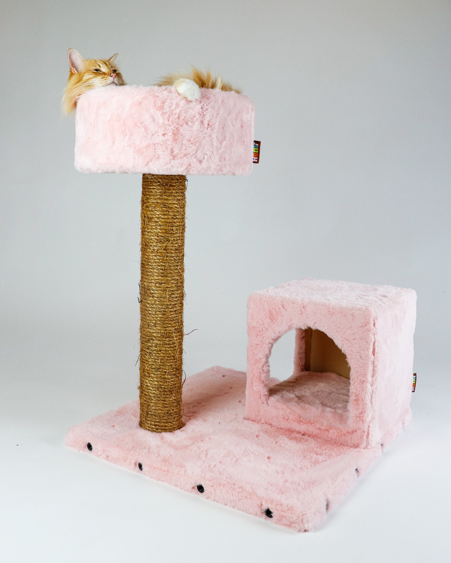 STARTER KIT - BUBBLE GUM